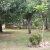 campingyuste (75)